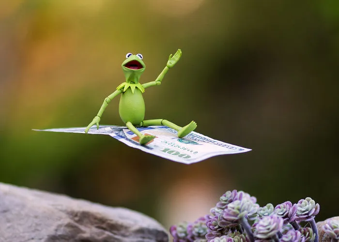 Kermit's Magic Carpet Ride