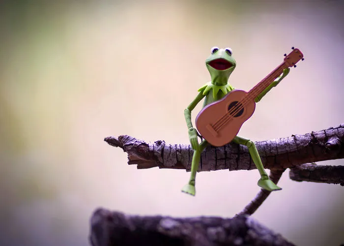 🎶still My Guitar Gently Weeeeeeps...🎶