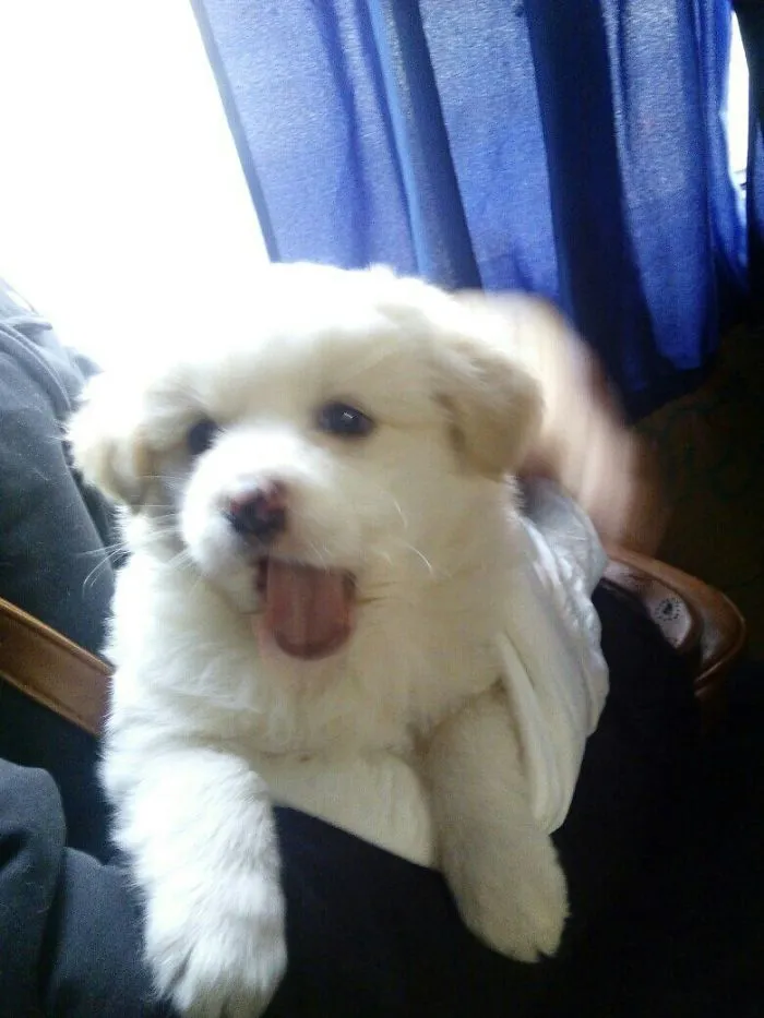 My Love