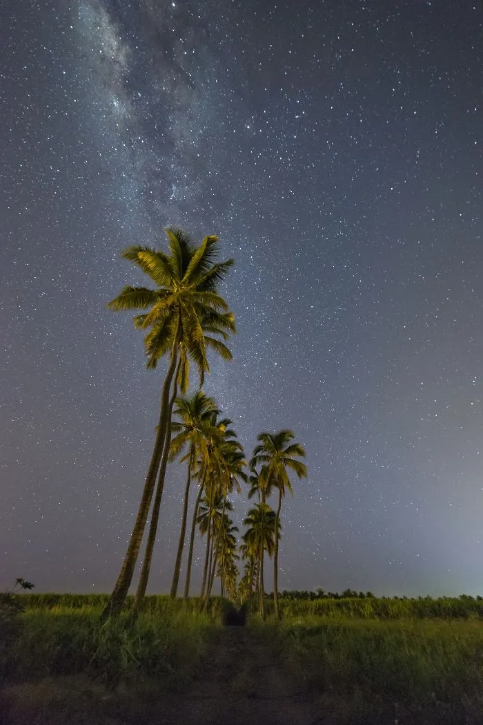 Junior 2nd Prize | En Route To The Stars, France - Alice Fock-hang / Pna
