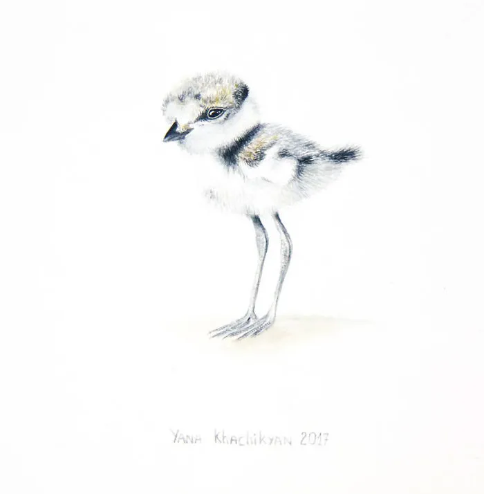 My First Watercolor Paintings