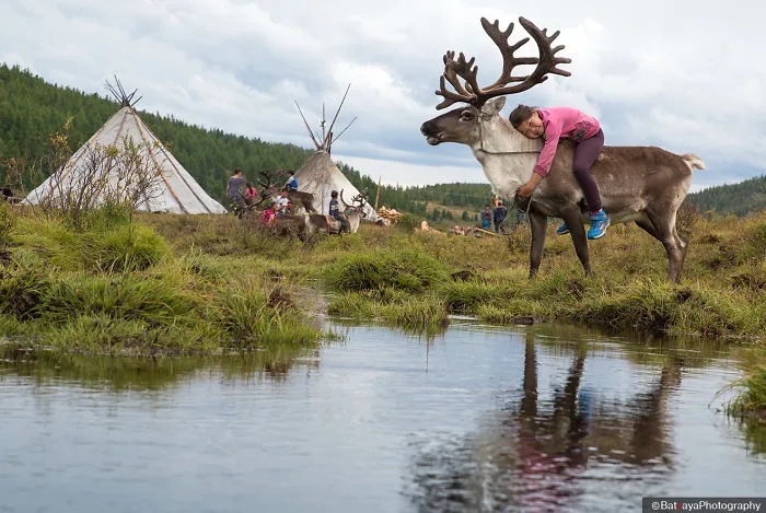 I Took Photos Of Adorable Kids With Their Reindeer In The Remote Taiga Mountains Of Mongolia