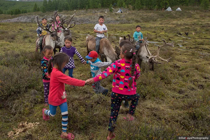 I Took Photos Of Adorable Kids With Their Reindeer In The Remote Taiga Mountains Of Mongolia