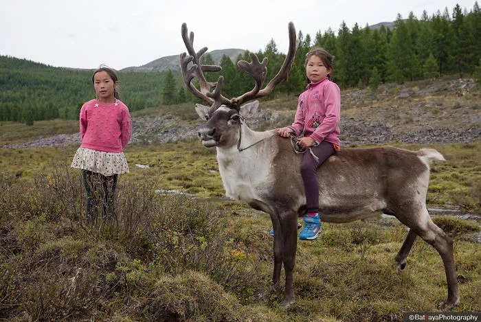 I Took Photos Of Adorable Kids With Their Reindeer In The Remote Taiga Mountains Of Mongolia