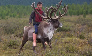 I Took Photos Of Adorable Kids With Their Reindeer In The Remote Taiga Mountains Of Mongolia
