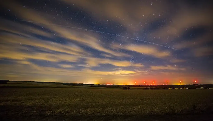 Junior 1st Prize | Symbiosis Of A Starry Night, France - Rémi Boucher / Pna