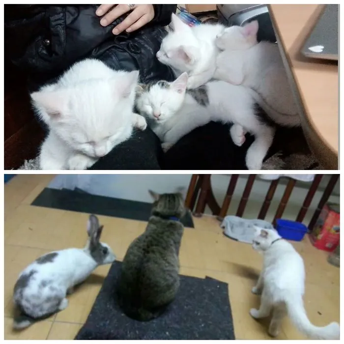 My Kids =@_@=