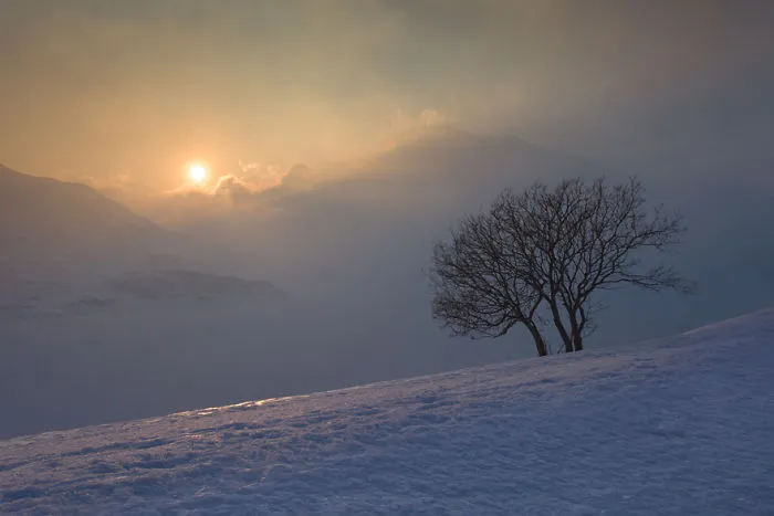 Frozen Landscape