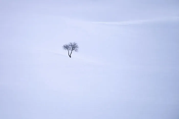 Solitude