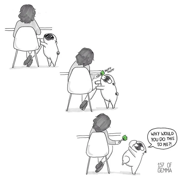 95 Adorable Comics That Hilariously Sum Up What It's Like Living With A Dog