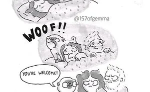 95 Adorable Comics That Hilariously Sum Up What It's Like Living With A Dog