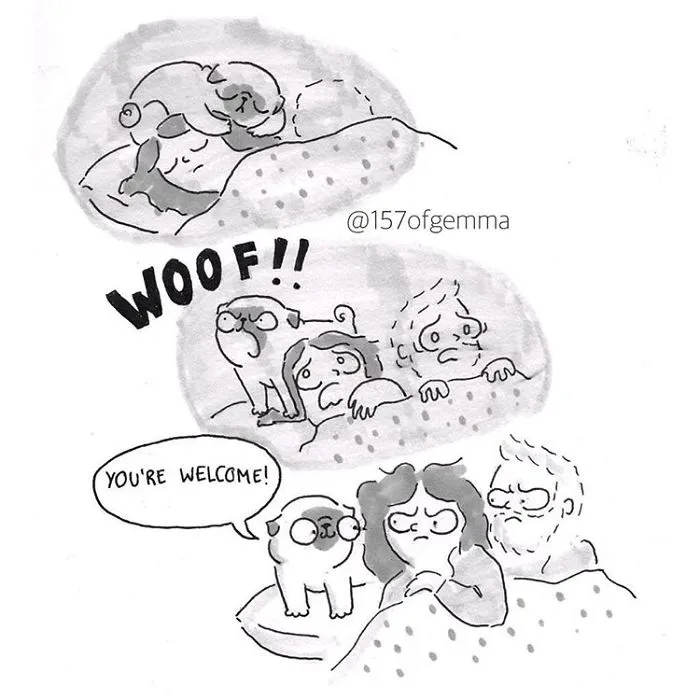 95 Adorable Comics That Hilariously Sum Up What It's Like Living With A Dog