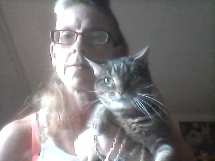 Senior Patchwork Dwarf Sisfur Sisi From Gizzy, Thori And Sisi, Da Second Hand Kittehz:  Https://www.facebook.com/gizzy-thori-and-sisi-da-second-hand-kittehz-576379702467034/?ref=bookmarks