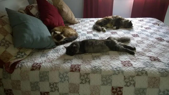 Only Three Of A Total Of 12