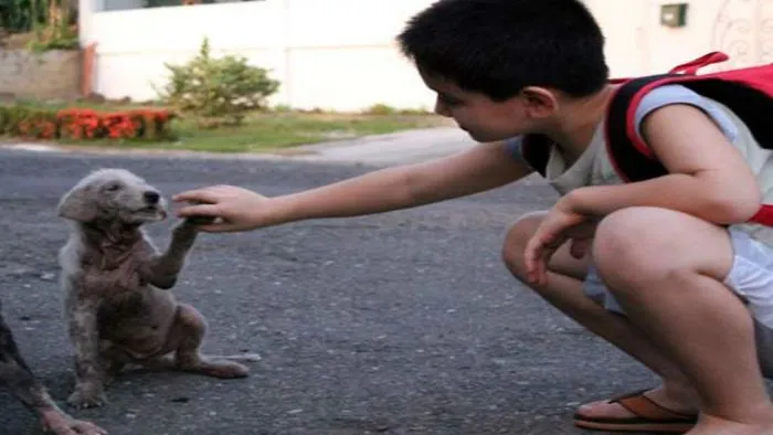 His Son Would Disappear Every Day On A Walk. When This Father Followed Him He Was Heartbroken