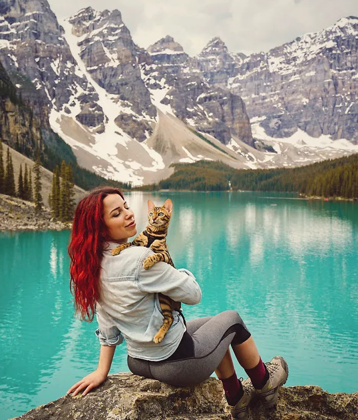 Meet Suki, The Traveling Cat Who's Living A Better Life Than You