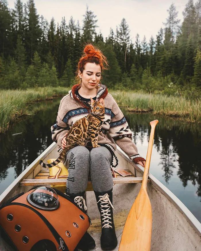 Meet Suki, The Traveling Cat Who's Living A Better Life Than You