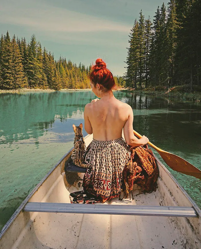 Meet Suki, The Traveling Cat Who's Living A Better Life Than You