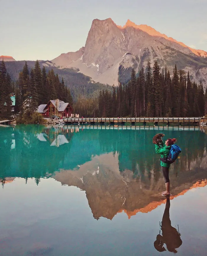 Meet Suki, The Traveling Cat Who's Living A Better Life Than You