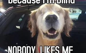 Because I Am Blind - Nobody Likes Me