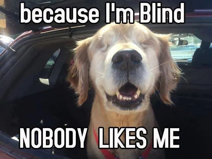 Because I Am Blind - Nobody Likes Me