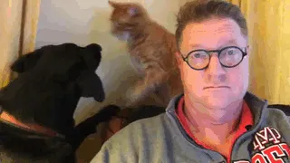 El dueño solo quiere ver las noticias