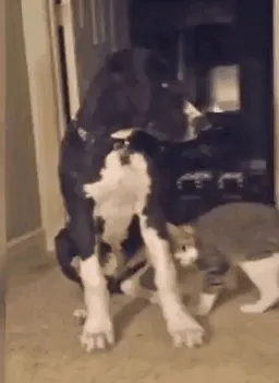 Love You. Asshole. Love You