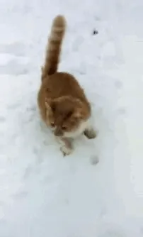 ¡Mira, nieve!