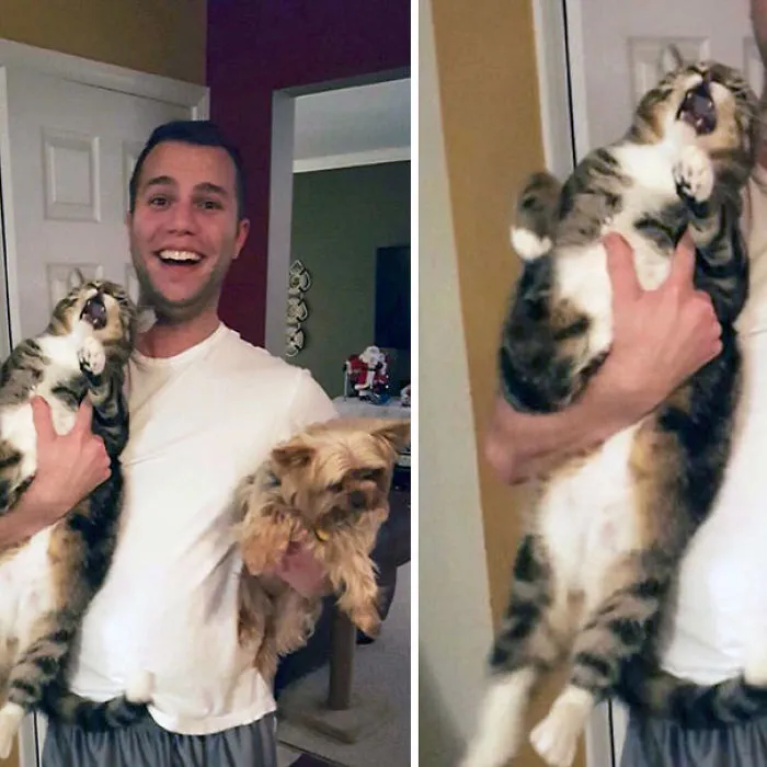 This Cat And Dog Will Be The Best Of Friends Soon. Until Then Enjoy The Over Dramatic Looks Of Terror On His Face When I Try To Hold Both Of Them
