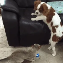 Are You Seein' This Shit?!