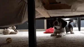Checking For Monsters Under The Bed