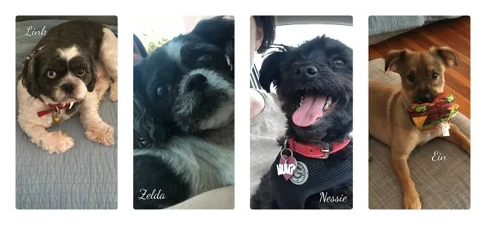 My 4 Little Stinky Monsters!