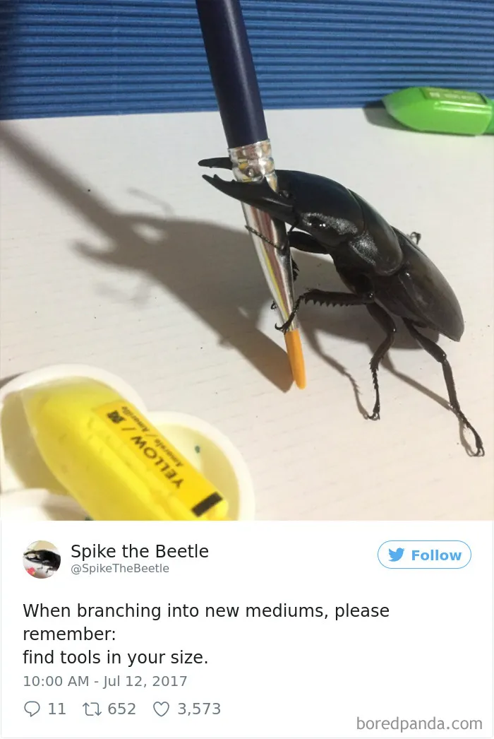 Woman Has Stag Beetle As A Pet And Her Tweets Will Make Your Day
