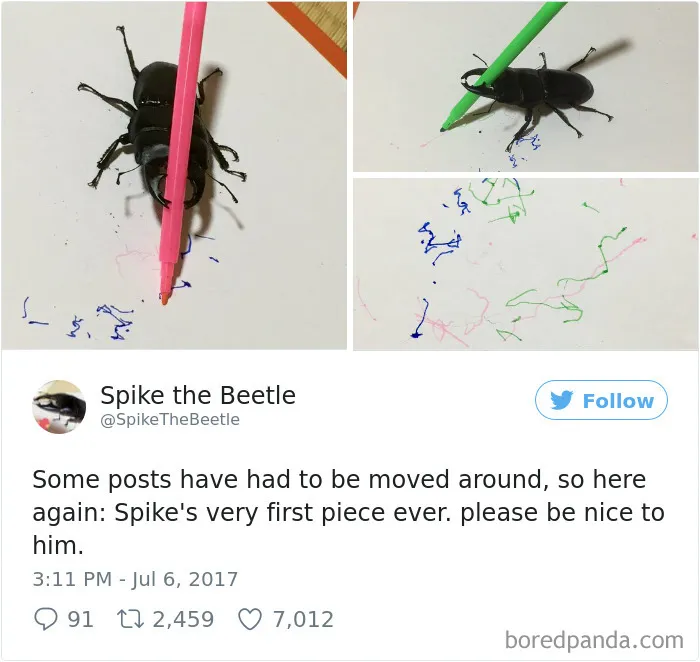 Woman Has Stag Beetle As A Pet And Her Tweets Will Make Your Day