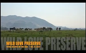 How Did Idaho Wild Horses React To The Total Eclipse?