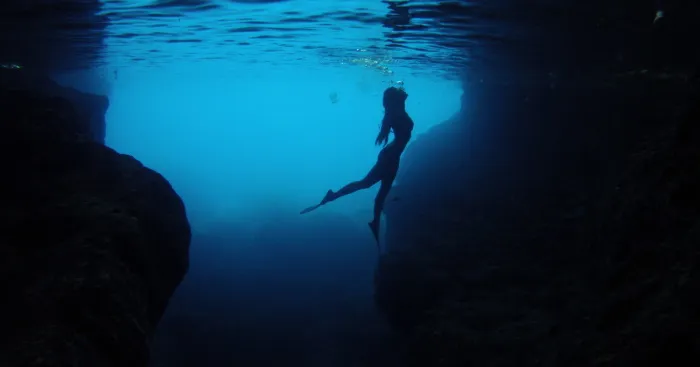 Underwater Photographers Try To Capture The Beauty Of Our Oceans