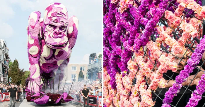 Every Year Corso Zundert, The Largest Flower Parade In The World, Occurs In The Netherlands