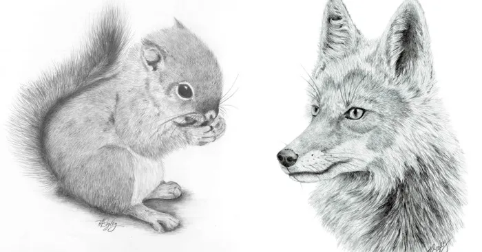 I Draw Animals With A Mechanical Pencil