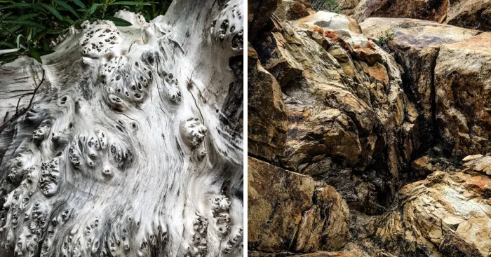 I Took A Road Trip From Oregon To California To Capture Nature's Texture