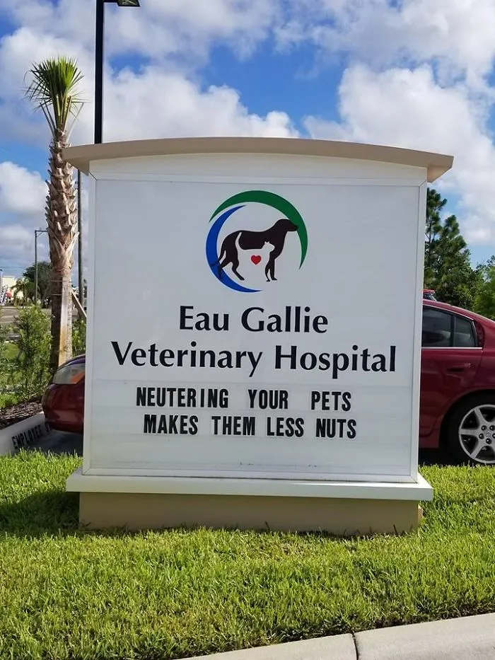 50 Genius Vet Signs That Will Make You Laugh