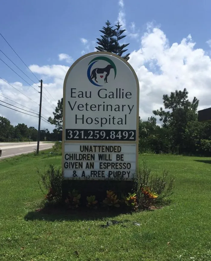 50 Genius Vet Signs That Will Make You Laugh