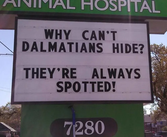 50 Genius Vet Signs That Will Make You Laugh