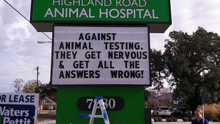 50 Genius Vet Signs That Will Make You Laugh
