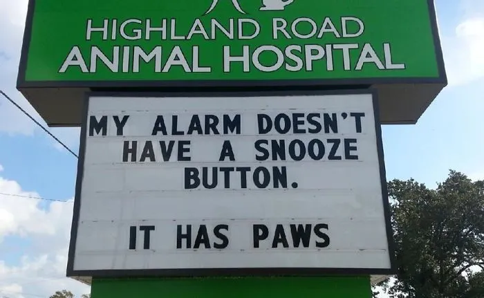50 Genius Vet Signs That Will Make You Laugh