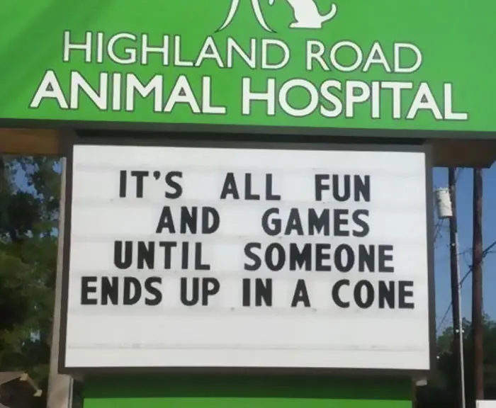 50 Genius Vet Signs That Will Make You Laugh