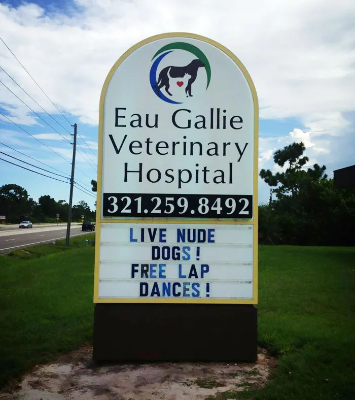50 Genius Vet Signs That Will Make You Laugh