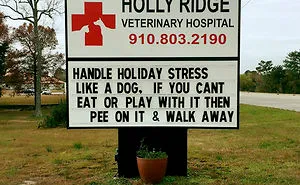50 Genius Vet Signs That Will Make You Laugh