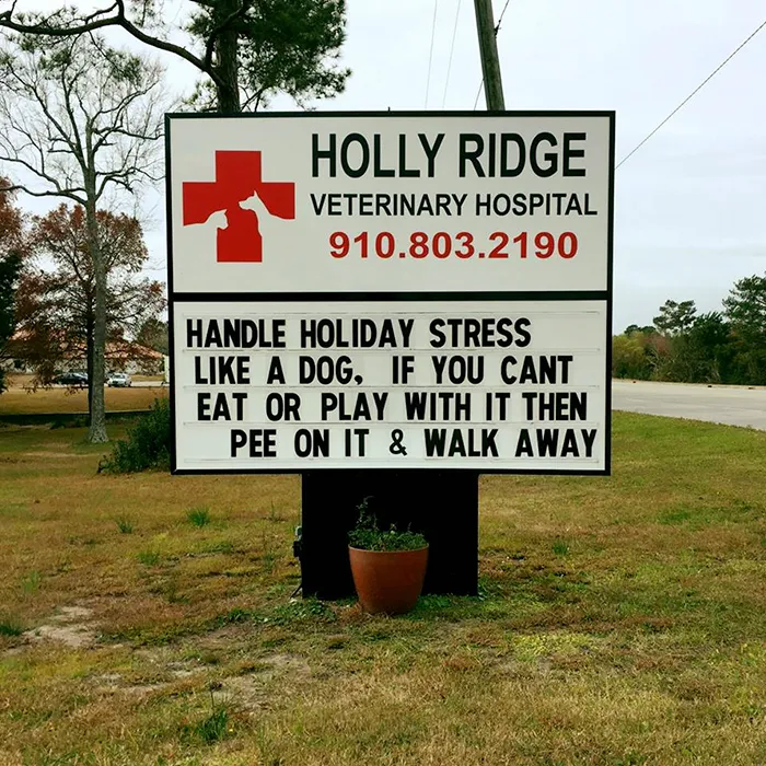 50 Genius Vet Signs That Will Make You Laugh