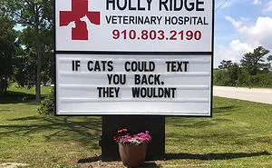 50 Genius Vet Signs That Will Make You Laugh
