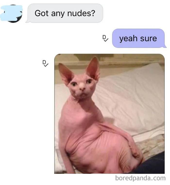Here Are Your Nudes